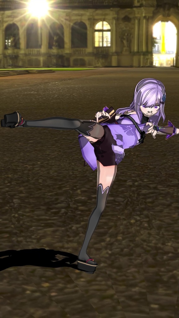 蹴り上げ→廻し蹴り→連続蹴り→飛び後ろ回し蹴り