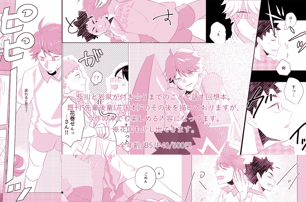 青城男子バレー部の恋愛事情 及川と岩泉の話