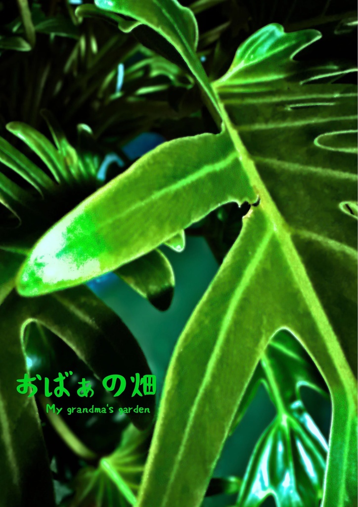 【デジタルポスター】おばぁの畑 - Okinawa Green Art