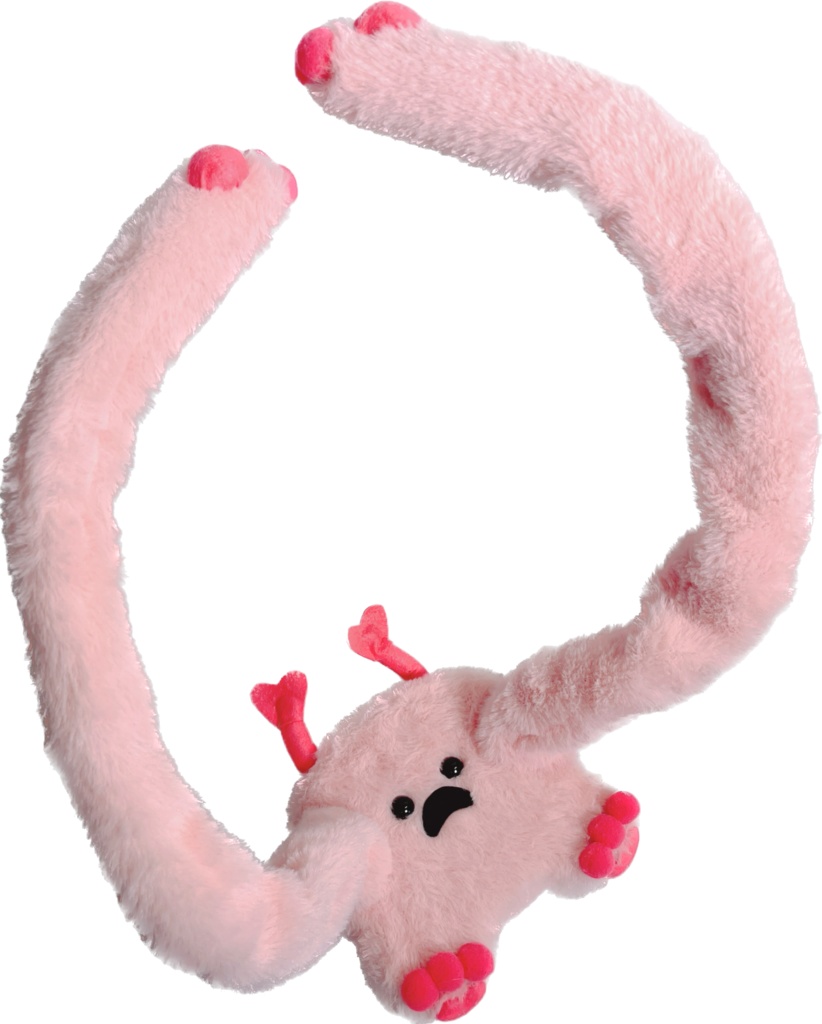 ドールスタンド もふもふマン サーモンピンク×ビビットピンク