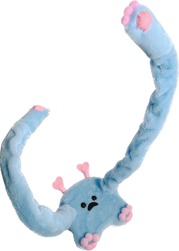 ドールスタンド もふもふマン ベビーブルー×ピンク