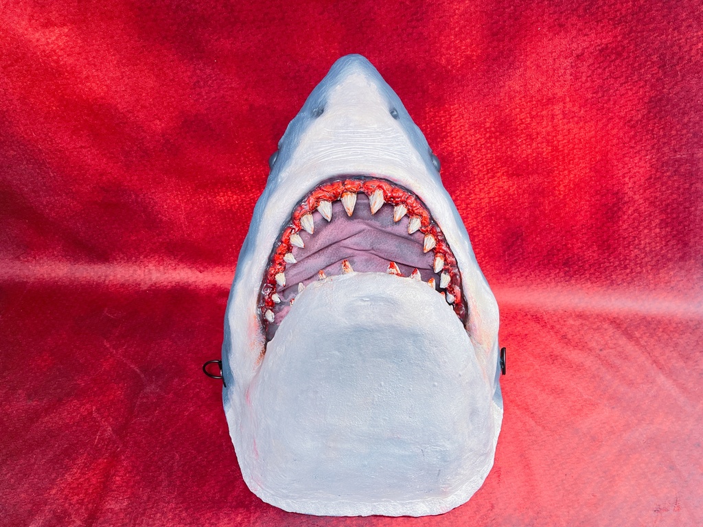 1/2スケール ホホジロザメヘッド