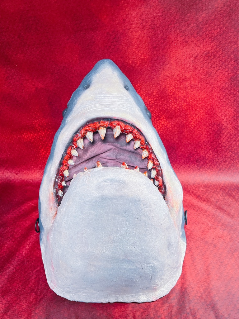 1/2スケール ホホジロザメヘッド