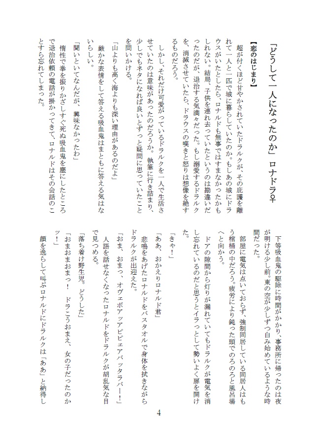 サラダボウル【自家製本ver.】