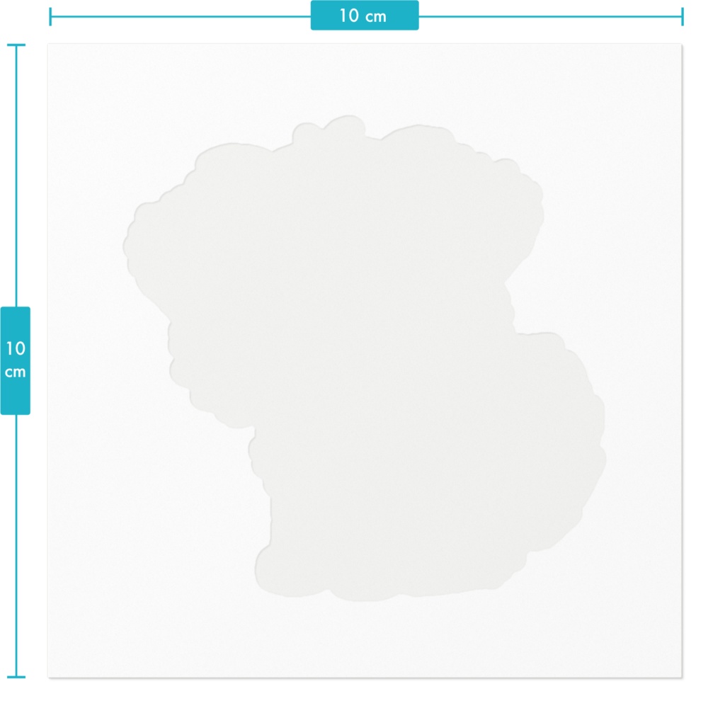 キラキラのワンコ