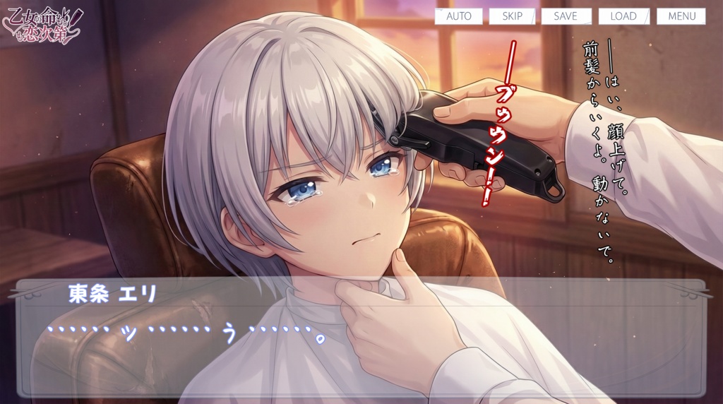 乙女の命も恋次第 ~大西ハナ編~