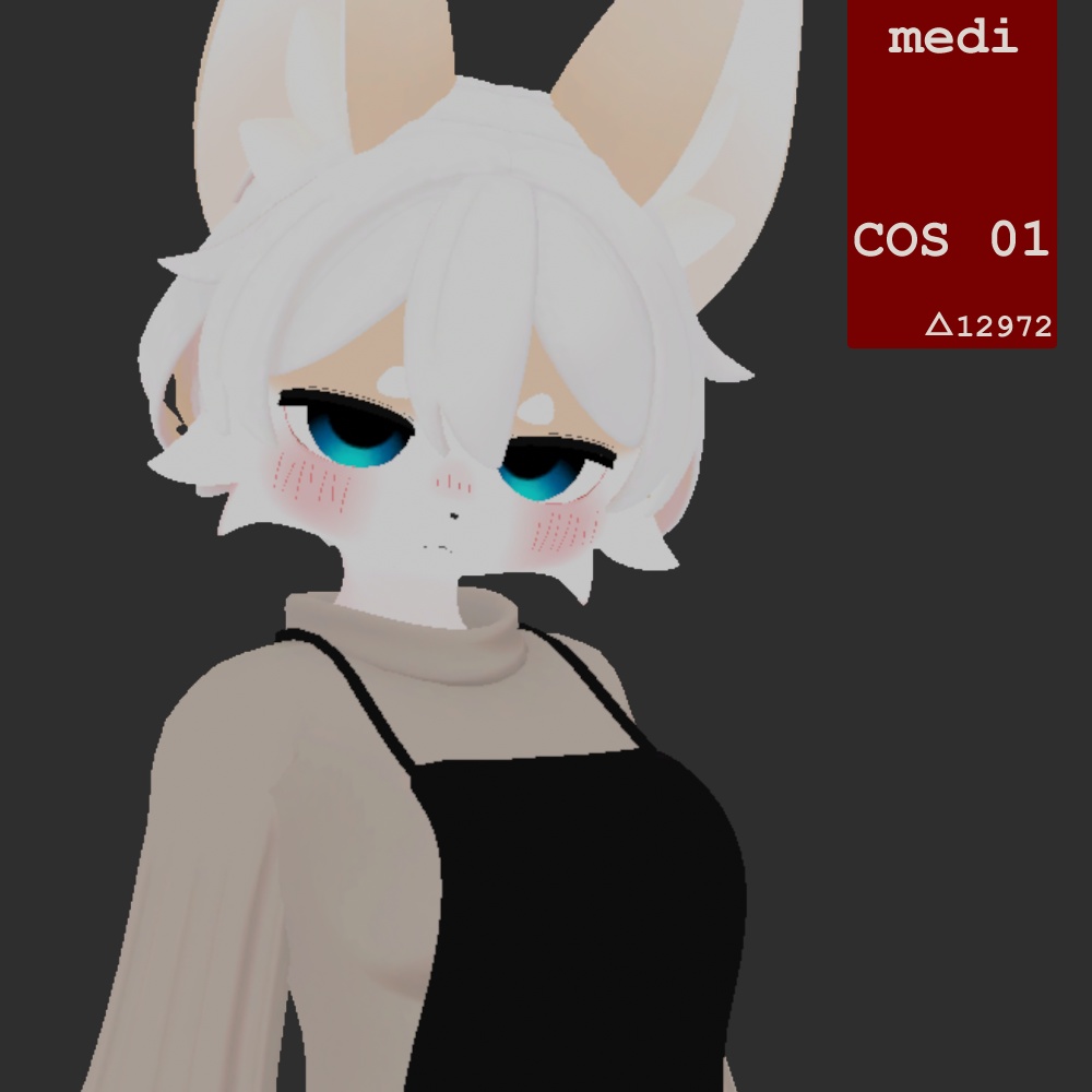 medi_cos_01【メディ専用衣装】
