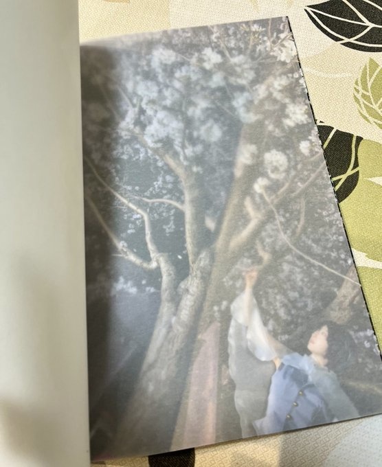 夜目シアン写真集 2冊セット