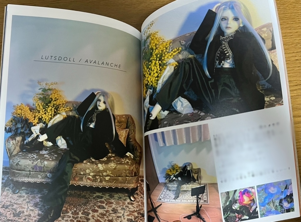 ドール写真集【AVALANCHE】&【Seria Dolls Photobook】
