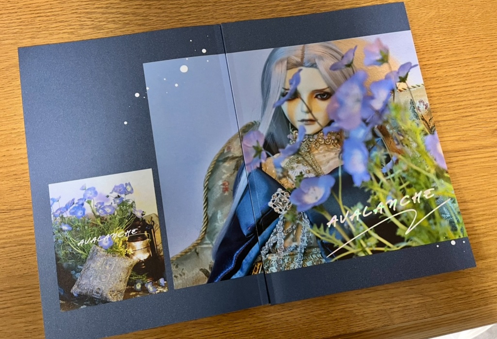 ドール写真集【AVALANCHE】&【Seria Dolls Photobook】