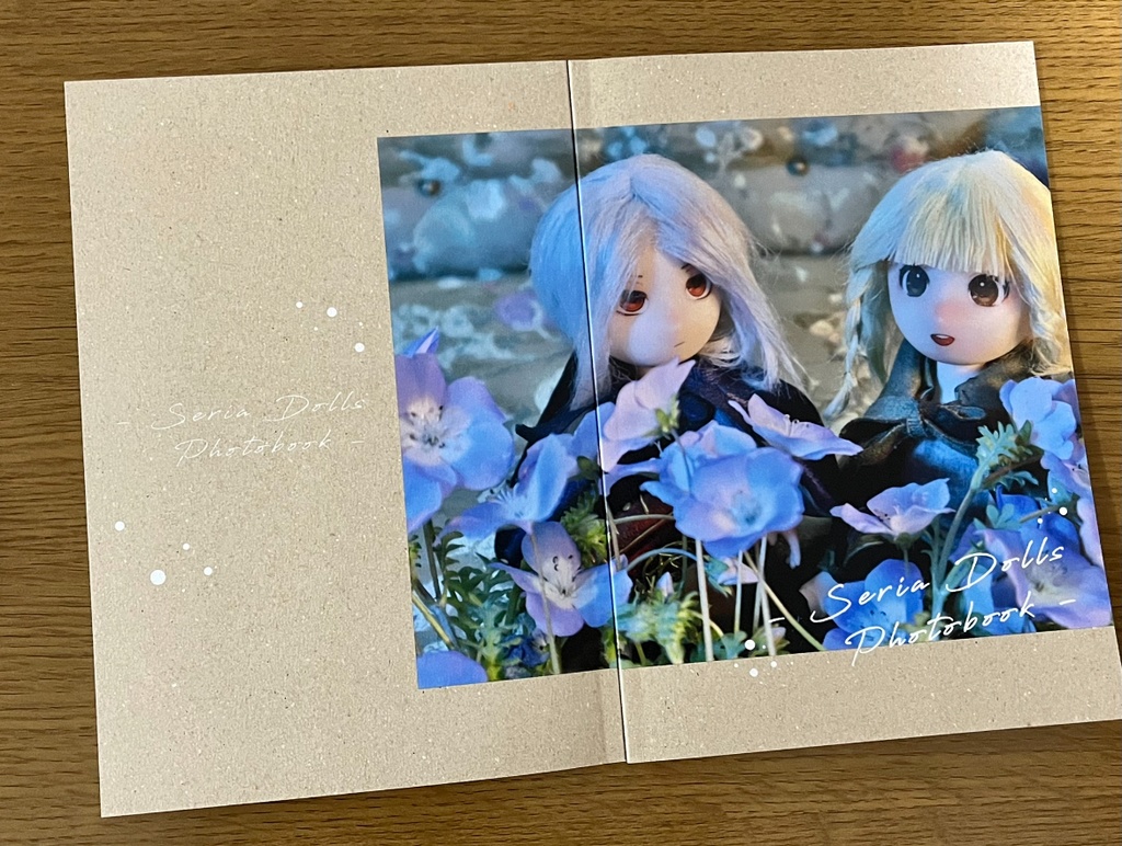 ドール写真集【AVALANCHE】&【Seria Dolls Photobook】