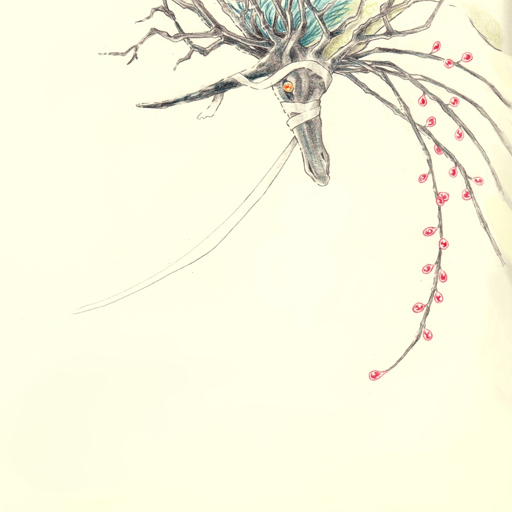 2019蜜藤‐2種セット‐