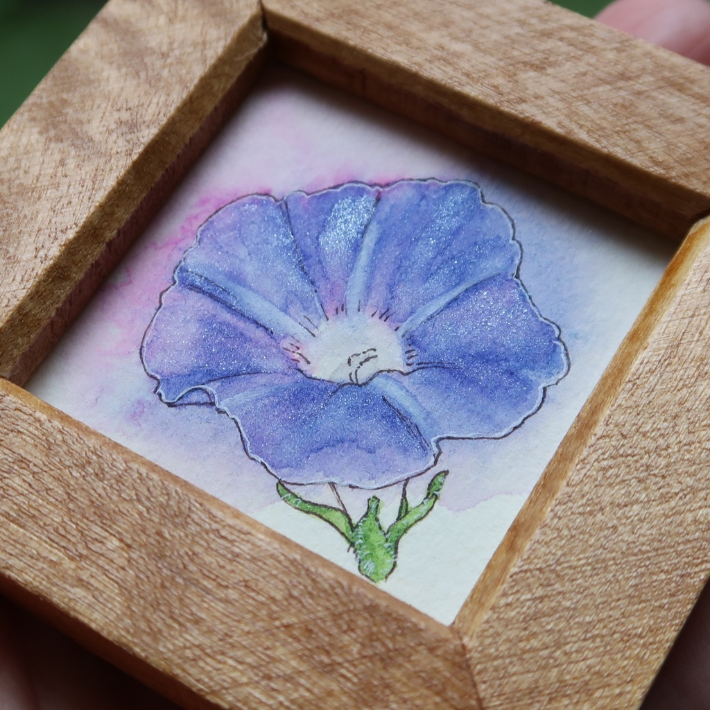 【ミニ原画】アサガオ