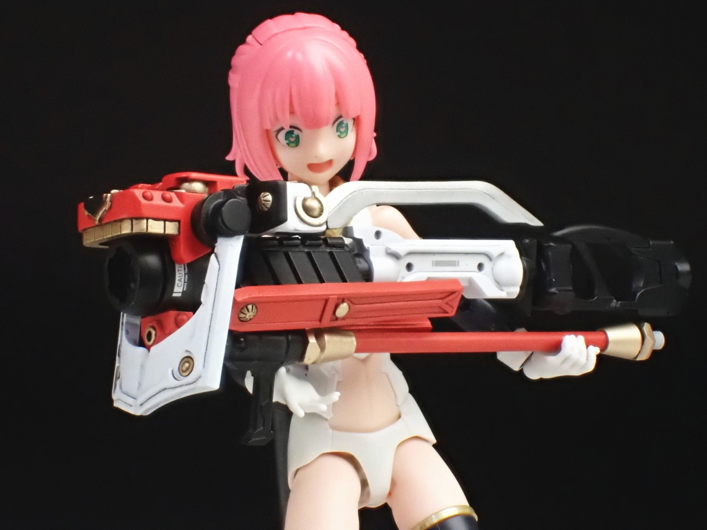 砲槍 ホウセンカ