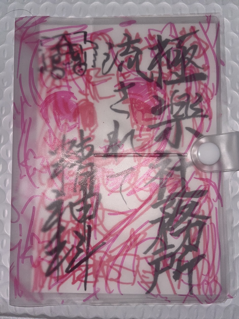 お薬手帳ケース