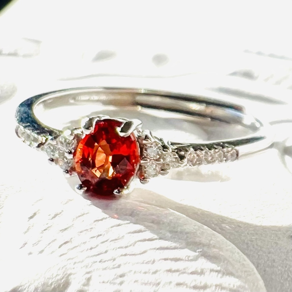 🆕豊前江概念リング②