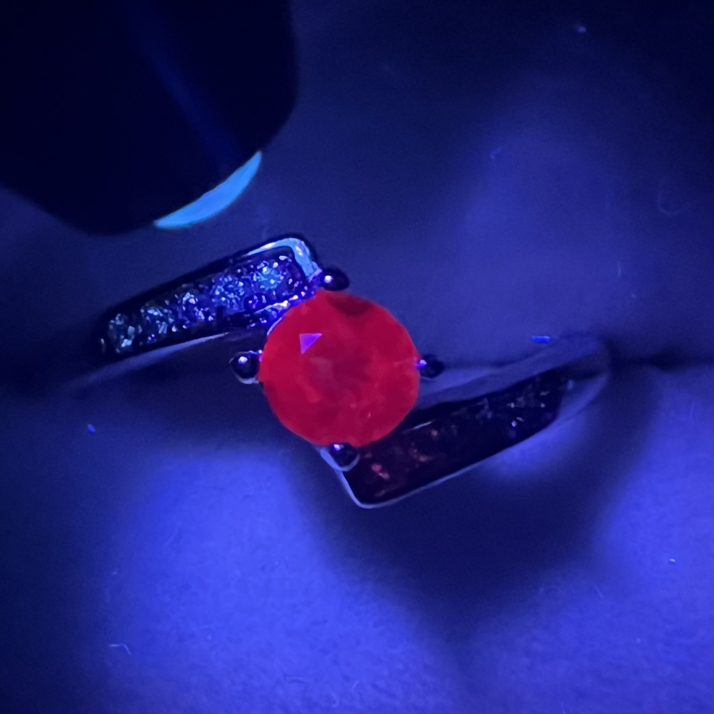 ðè¥åå¿ åºæŠå¿µãªã³ã°â¢