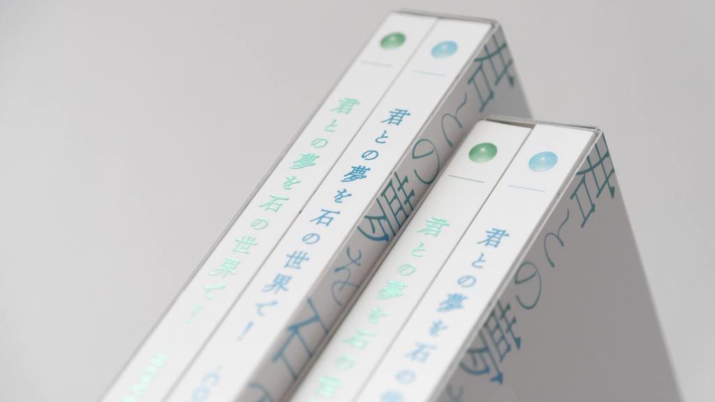 君との夢を石の世界で!-NOVEL&COMIC-