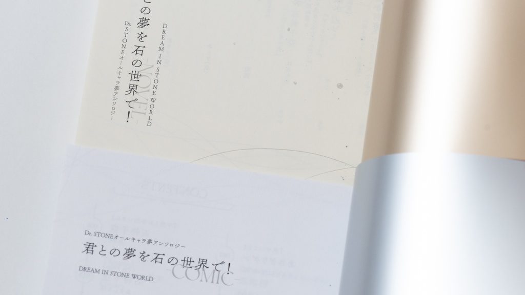 君との夢を石の世界で!-NOVEL&COMIC-