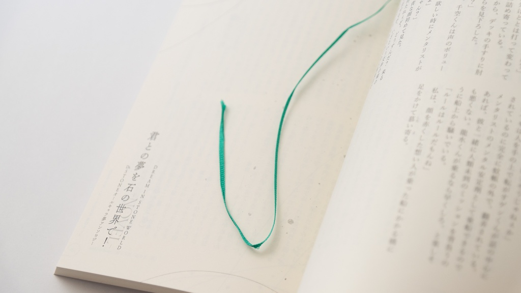 君との夢を石の世界で!-NOVEL&COMIC-