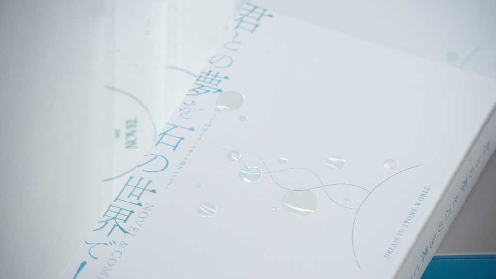 君との夢を石の世界で!-NOVEL&COMIC-