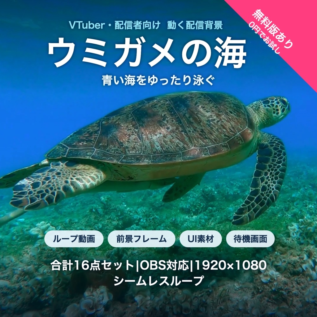 【無料版有】ウミガメの海｜青い海をゆったり泳ぐウミガメ 動く配信背景 VTuber・配信者向け 前景・UI・待機画面付き 全16点【OBS対応】