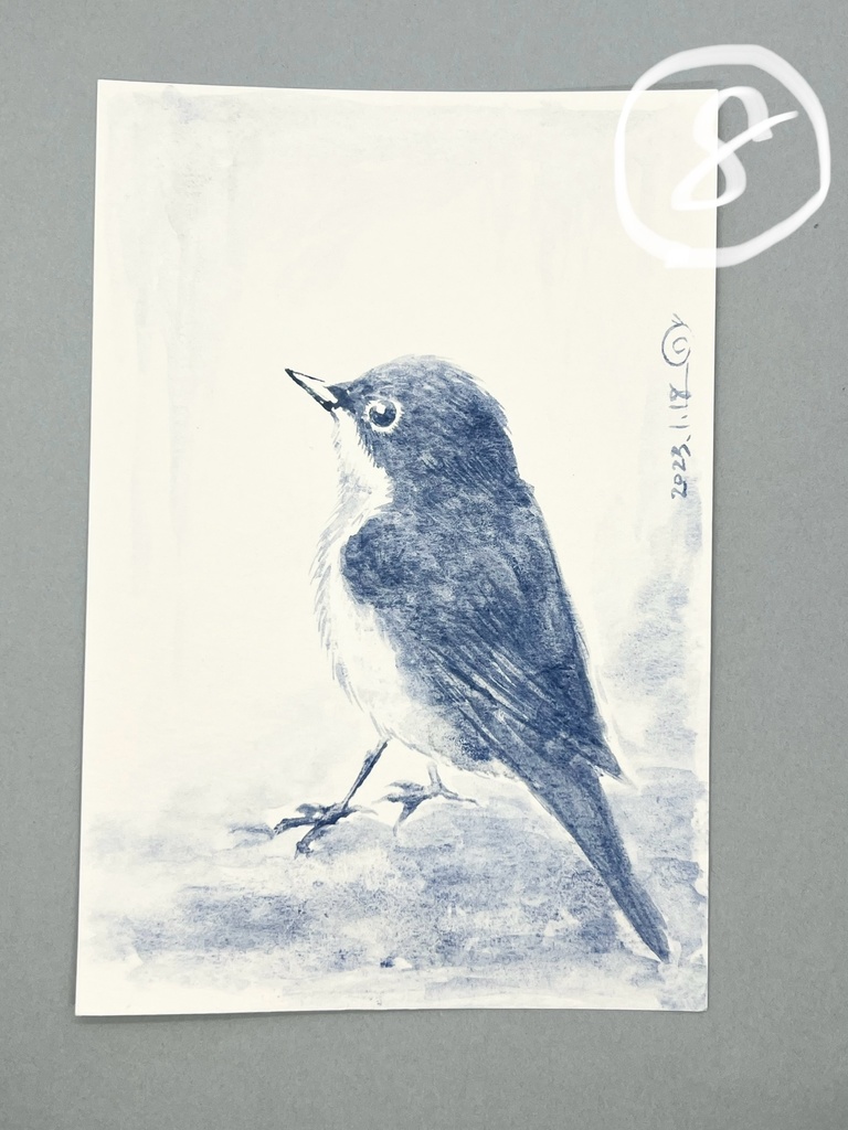 鳥さんいろいろ原画