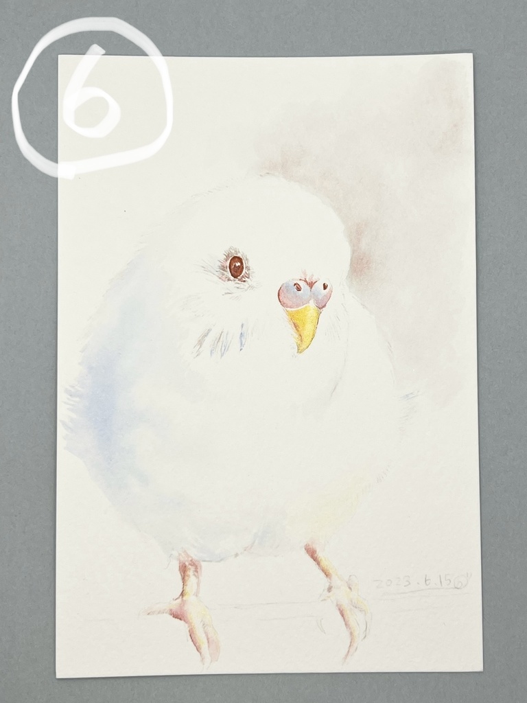 鳥さんいろいろ原画