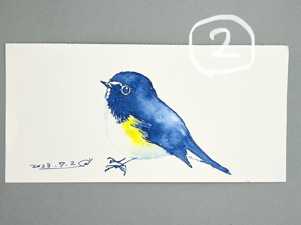 鳥さんいろいろ原画