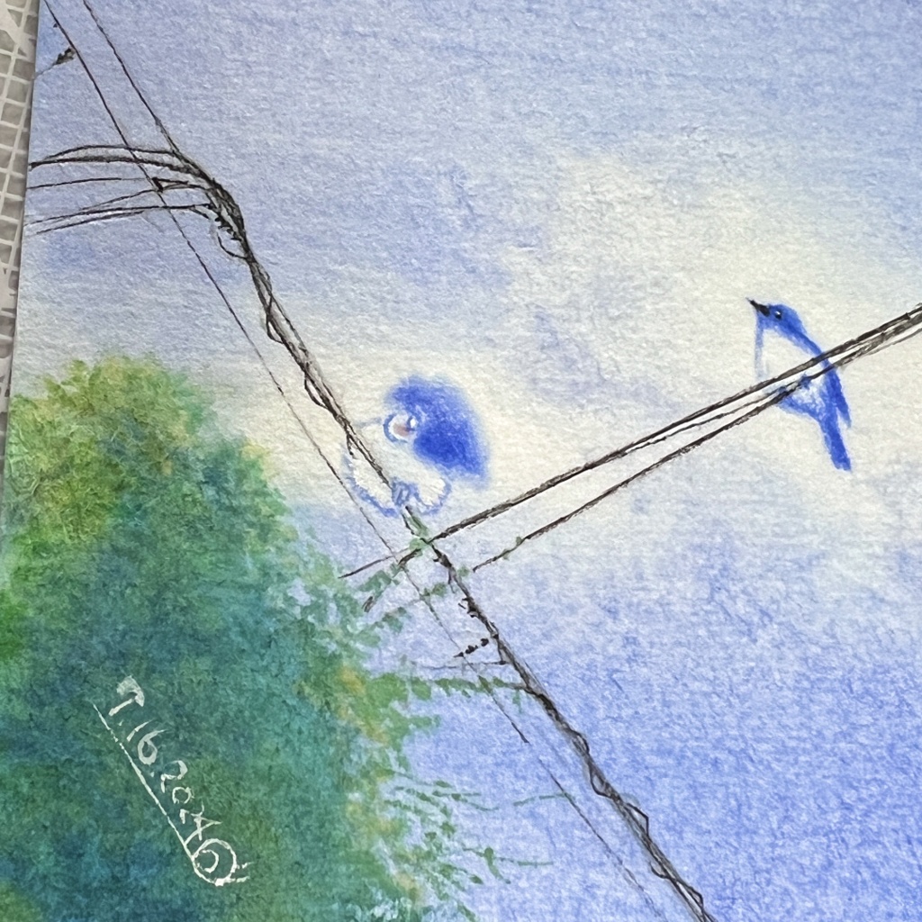 額装水彩原画『青い。』