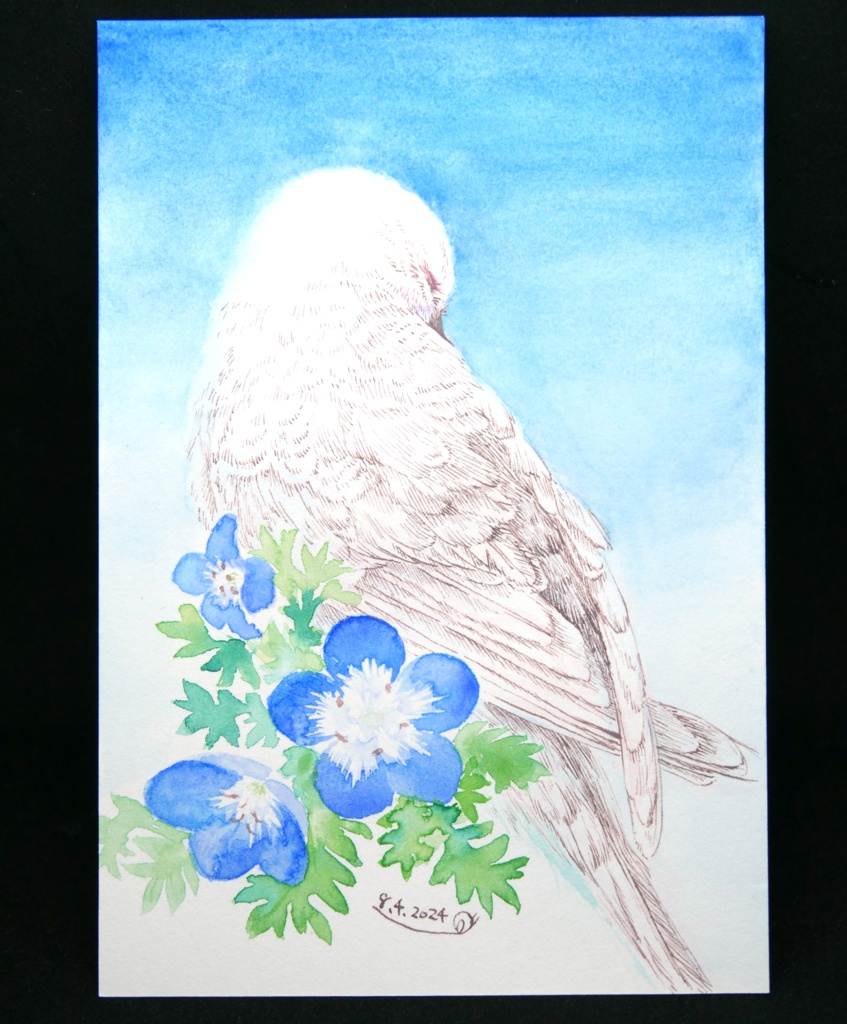 ポストカードサイズ水彩画「ネモフィラ」