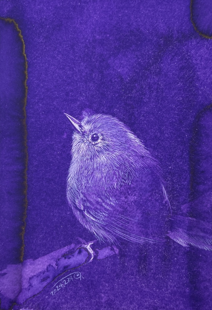 鳥さんいろいろ②