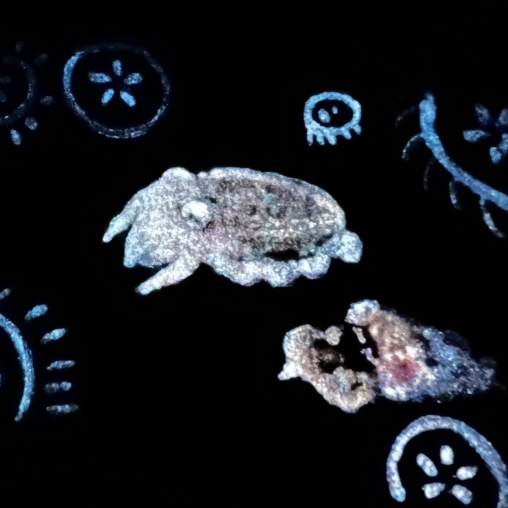 ATC原画「コウイカふわふわ」