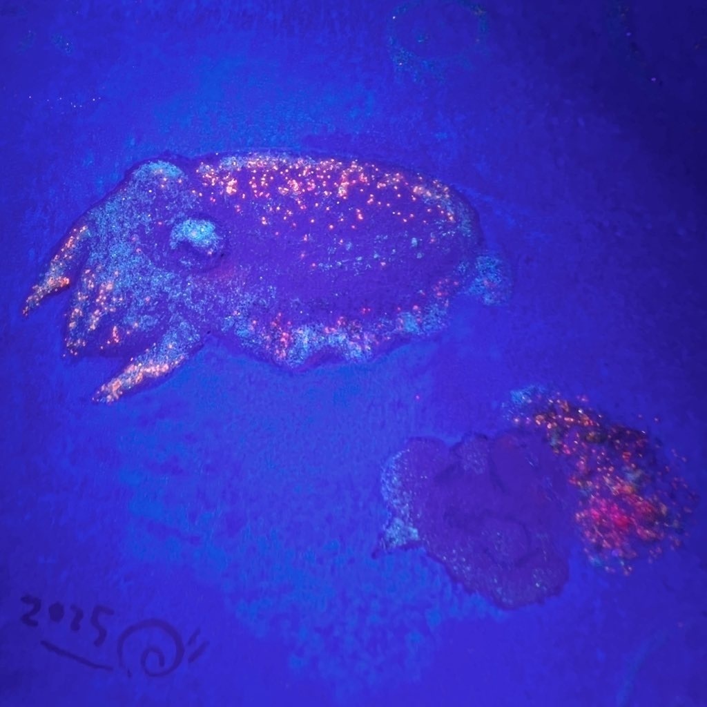 ATC原画「コウイカふわふわ」