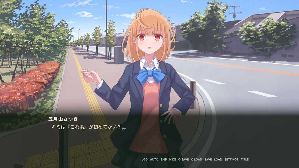 C.V. 私と私の中の人 The Fourth Insider