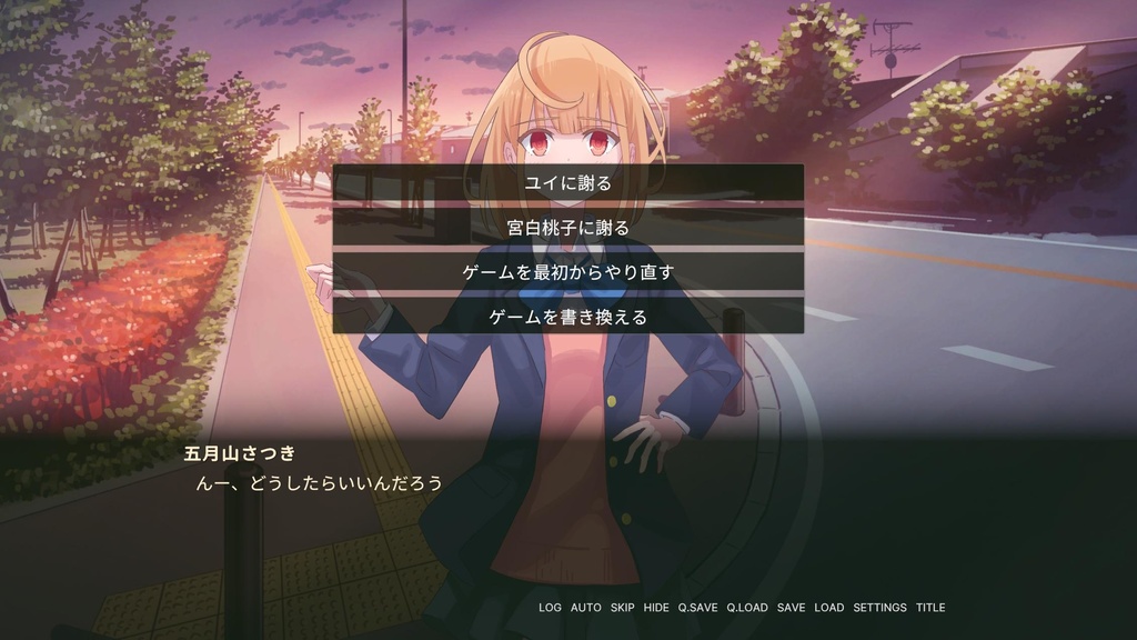 C.V. 私と私の中の人 The Fourth Insider