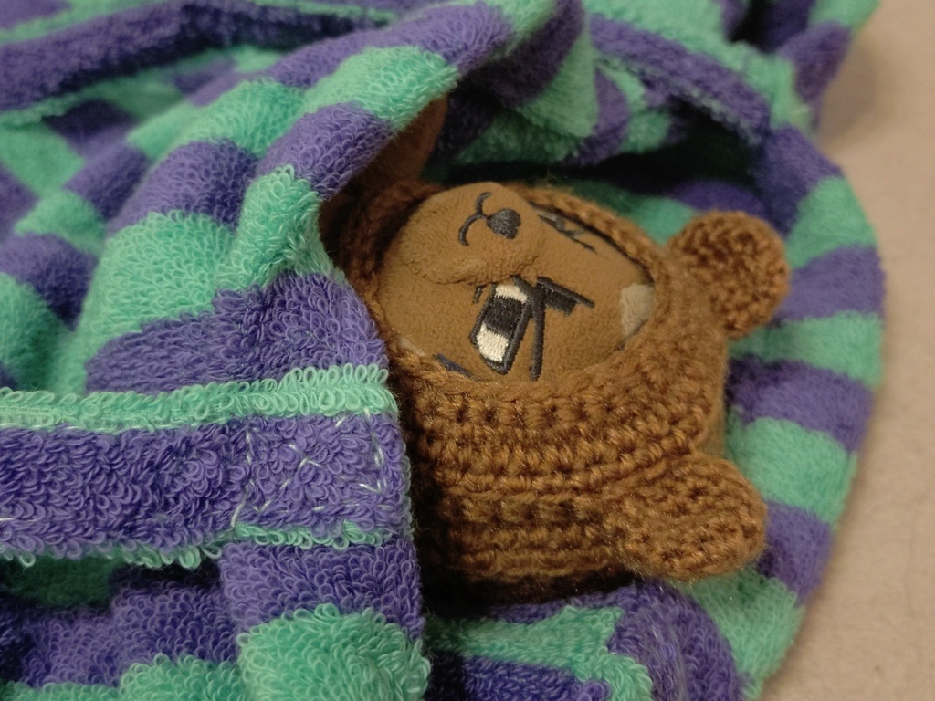 一体化キャップ