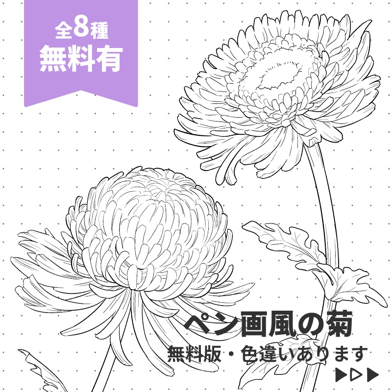 【無料版あり】ペン画風の菊