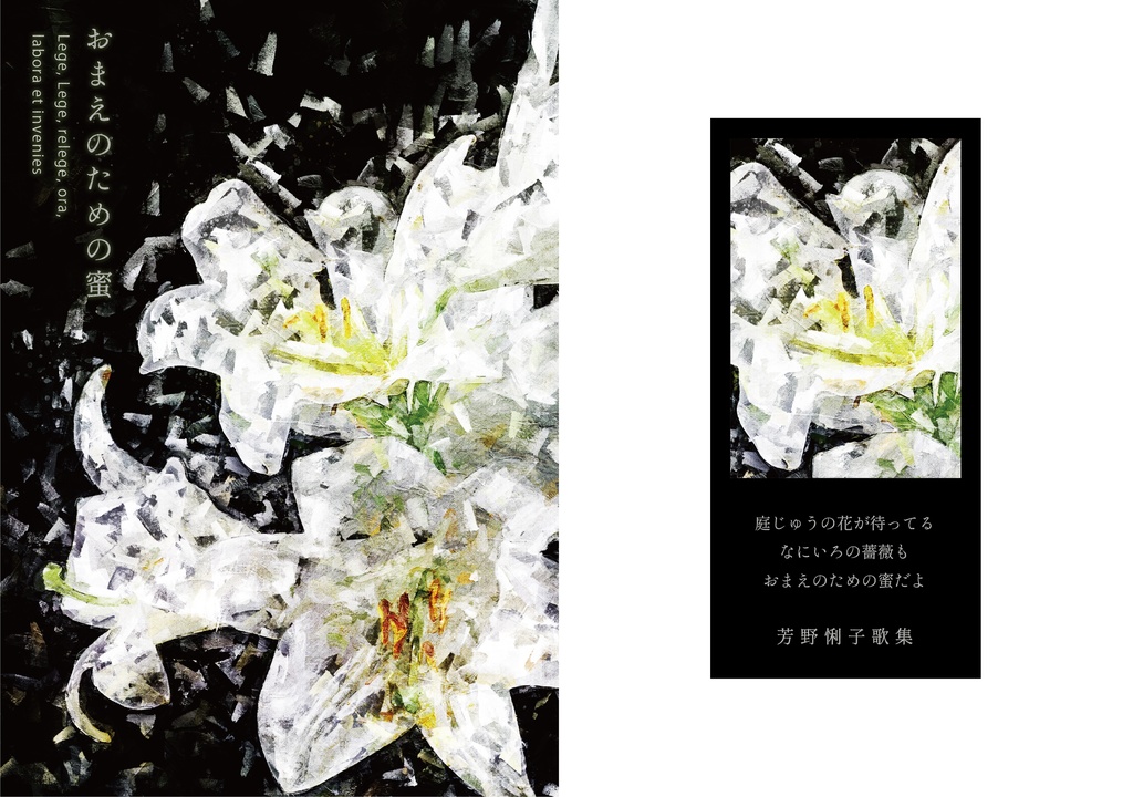 歌集　おまえのための蜜
