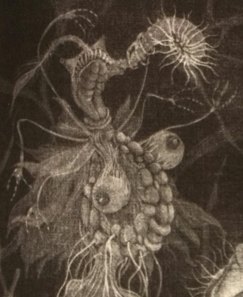 銅版画:魍魎の栖(もうりょうのすみか)