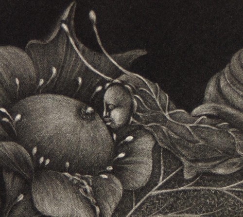 銅版画:乳花(ちちばな)