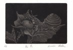 銅版画:乳花(ちちばな)