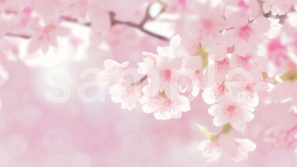 桜のイラスト背景素材 5枚セット
