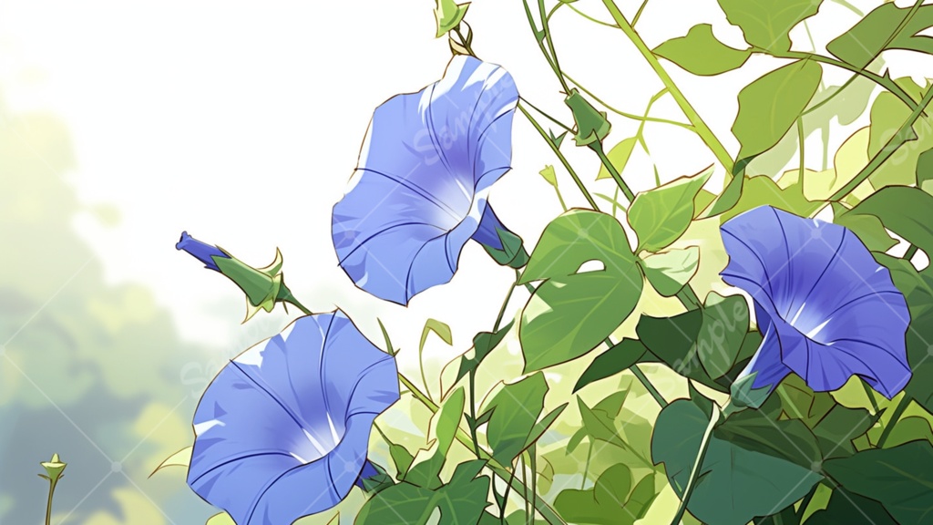 アサガオのイラスト背景素材 5枚セット