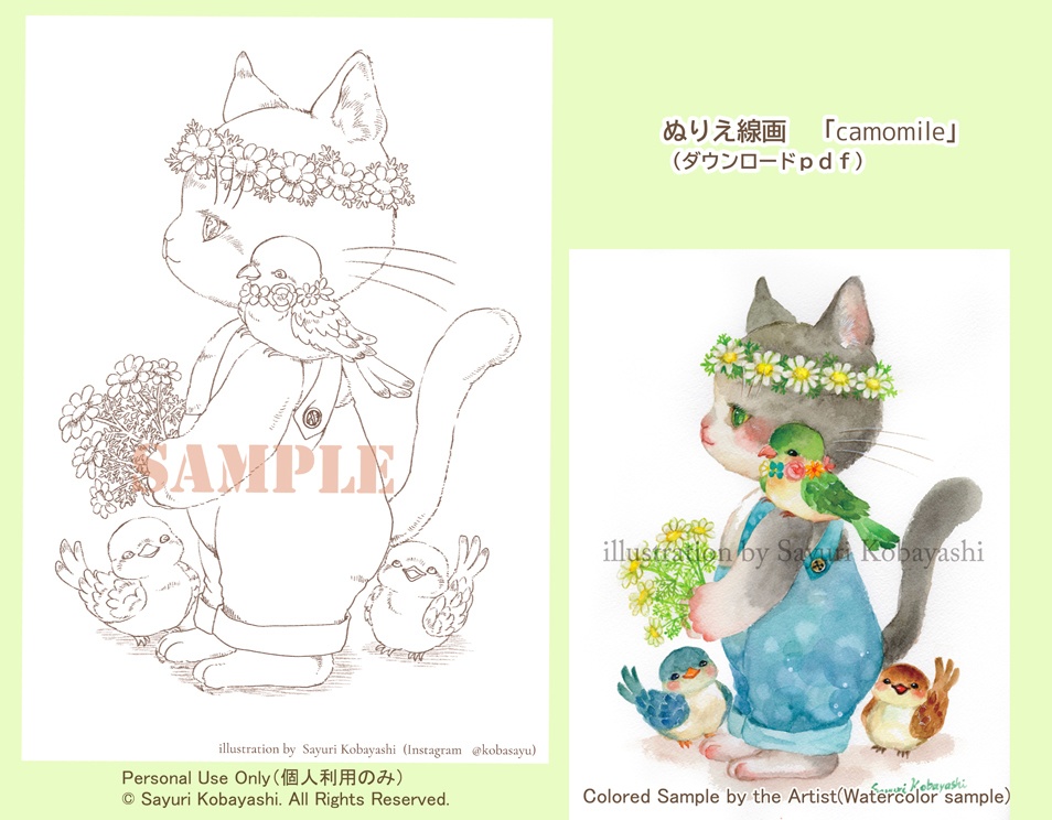 「camomile」（塗り絵線画）（ダウンロード線画）