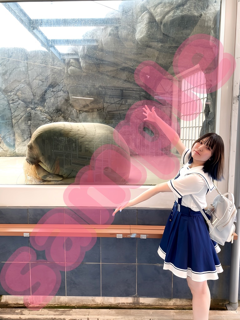 水族館デート風 セイウチ デコブロマイド
