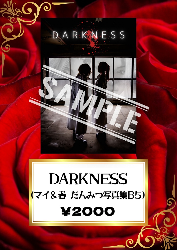 写真集 Darkness