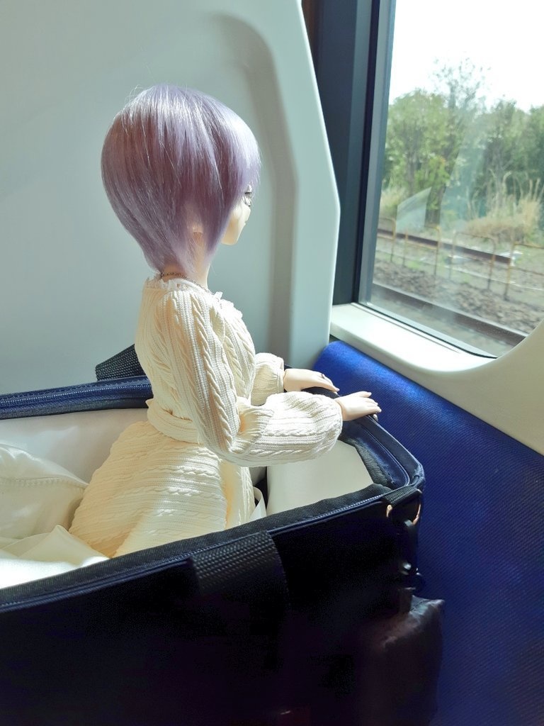 【最新モデル(即納)】ドール専用『一緒におでかけバッグ Ver.3』(カラー:ネイビー)