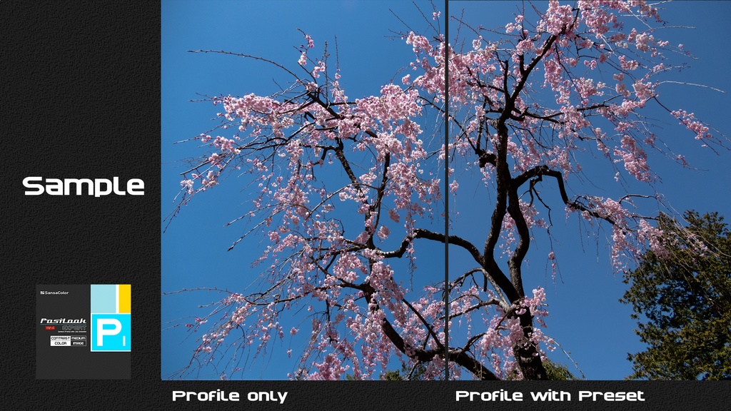 PosiLook Expert P1 Ver4.00a (for PENTAX)