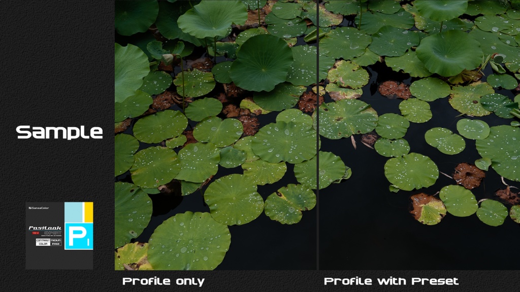 PosiLook Expert P1 Ver4.00a (for PENTAX)